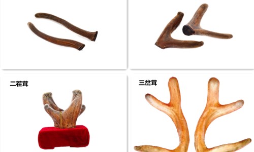 脸上长个小囊肿需要手术吗-【脸上长了个包】脸上长个大痘痘怎么快速消 - 脸上长个个软包在里面网