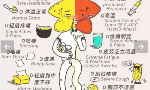 脸上长个小囊肿需要手术吗-【脸上长了个包】脸上长个大痘痘怎么快速消 - 脸上长个个软包在里面网