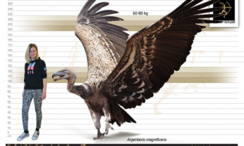 脸上长黑斑怎么去除最快方法-【脸上长了个包】脸上长个大痘痘怎么快速消 - 脸上长个个软包在里面网